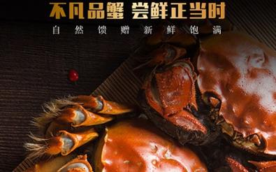 香芋樂園小程序開發(fā)